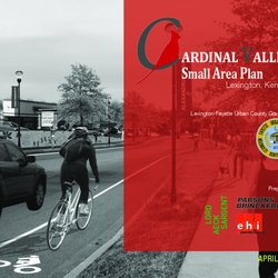 2015 Cardinal Valley Small Area Plan thumbnail icon